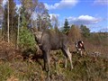 2011-10-15.jpg